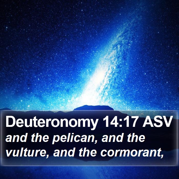 Deuteronomy 14:17 ASV Bible Study