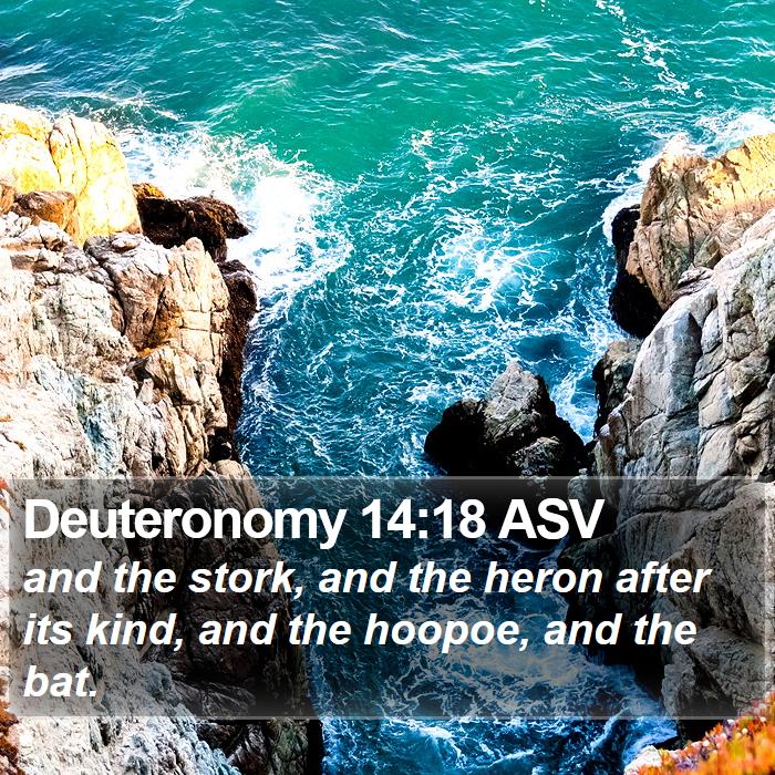 Deuteronomy 14:18 ASV Bible Study