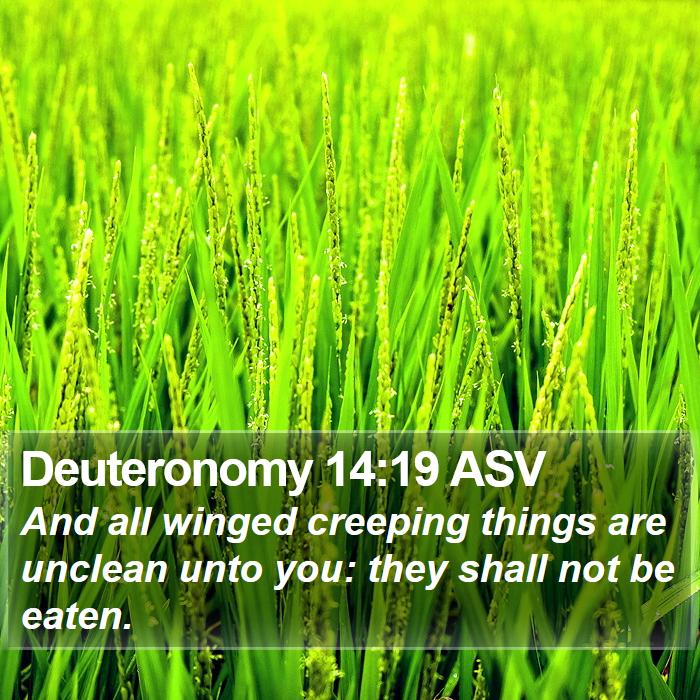 Deuteronomy 14:19 ASV Bible Study