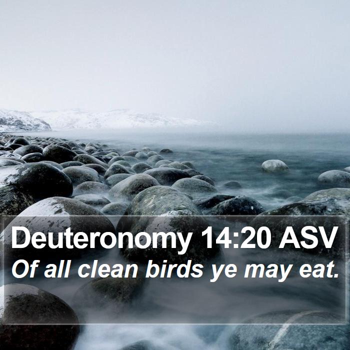 Deuteronomy 14:20 ASV Bible Study