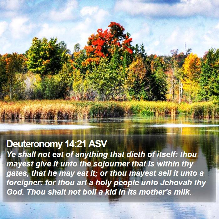 Deuteronomy 14:21 ASV Bible Study