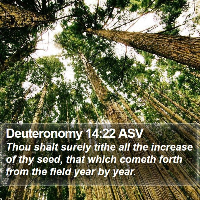 Deuteronomy 14:22 ASV Bible Study