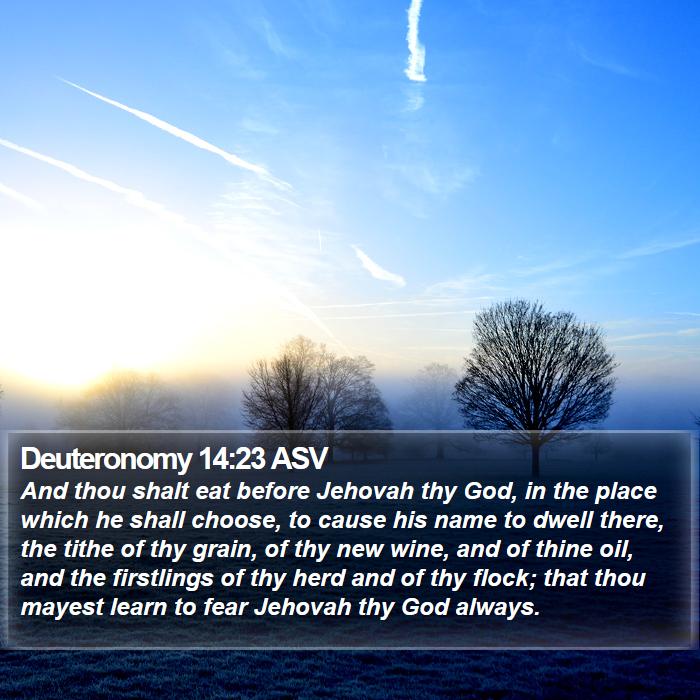 Deuteronomy 14:23 ASV Bible Study