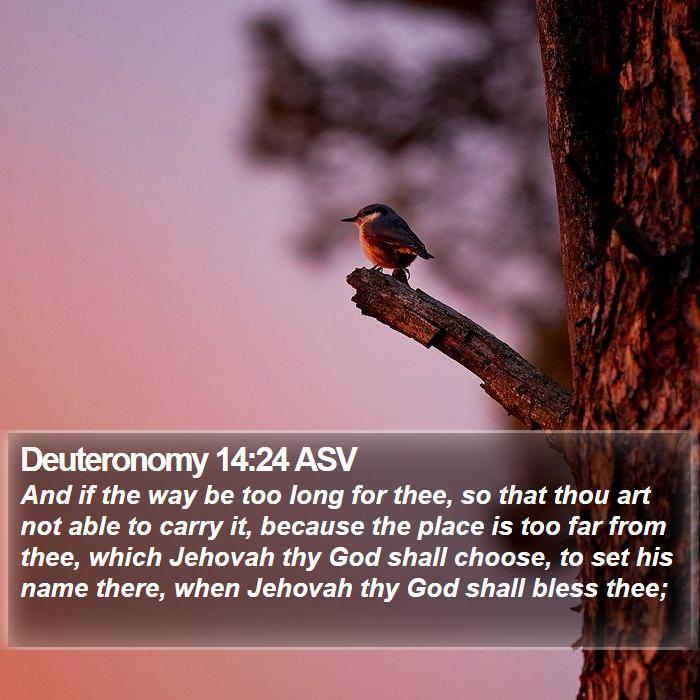 Deuteronomy 14:24 ASV Bible Study