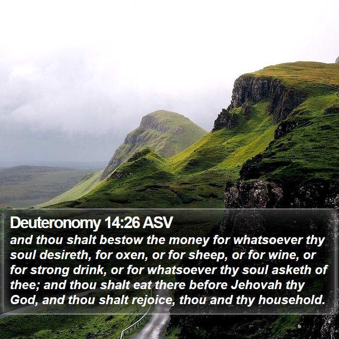 Deuteronomy 14:26 ASV Bible Study