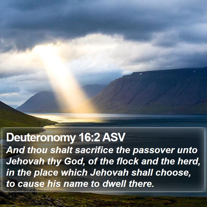 Deuteronomy 16:2 ASV Bible Study