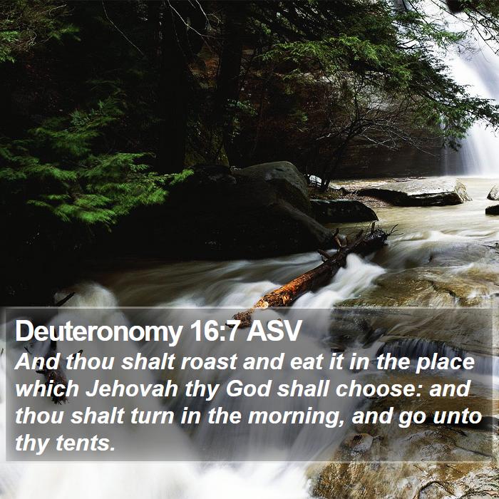 Deuteronomy 16:7 ASV Bible Study