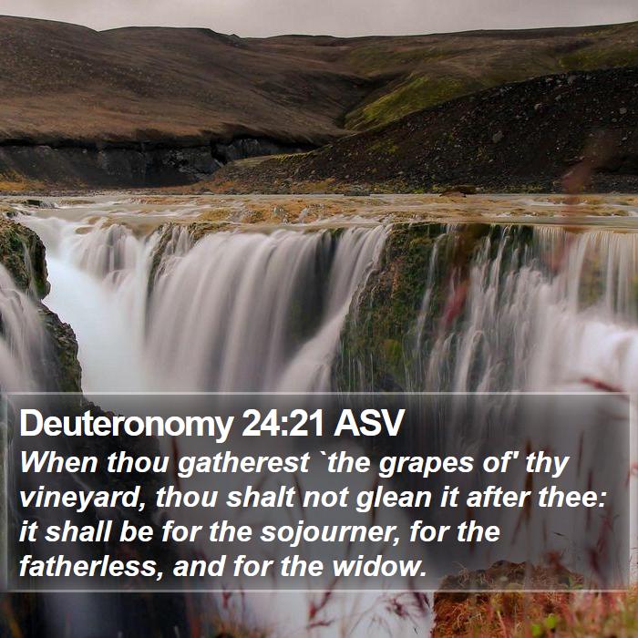 Deuteronomy 24:21 ASV Bible Study