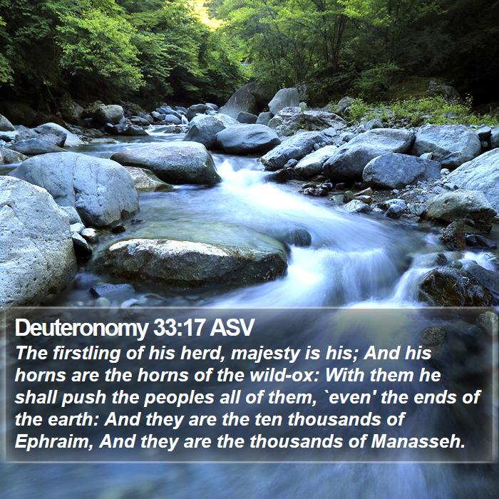 Deuteronomy 33:17 ASV Bible Study