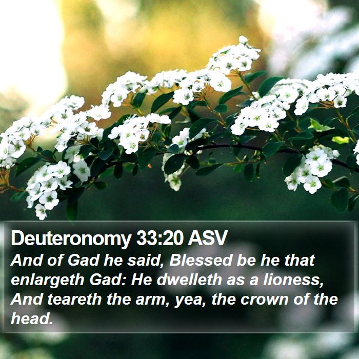 Deuteronomy 33:20 ASV Bible Study