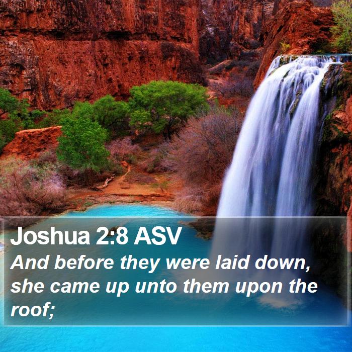 Joshua 2:8 ASV Bible Study