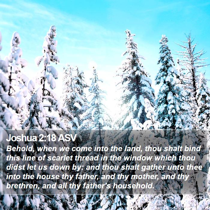 Joshua 2:18 ASV Bible Study