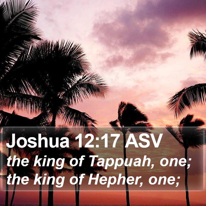 Joshua 12:17 ASV Bible Study