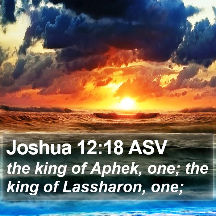 Joshua 12:18 ASV Bible Study