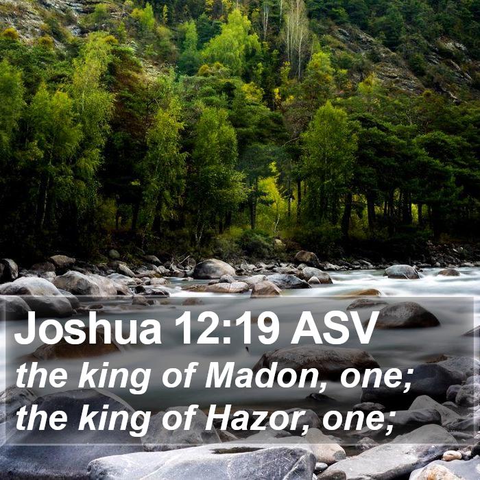 Joshua 12:19 ASV Bible Study