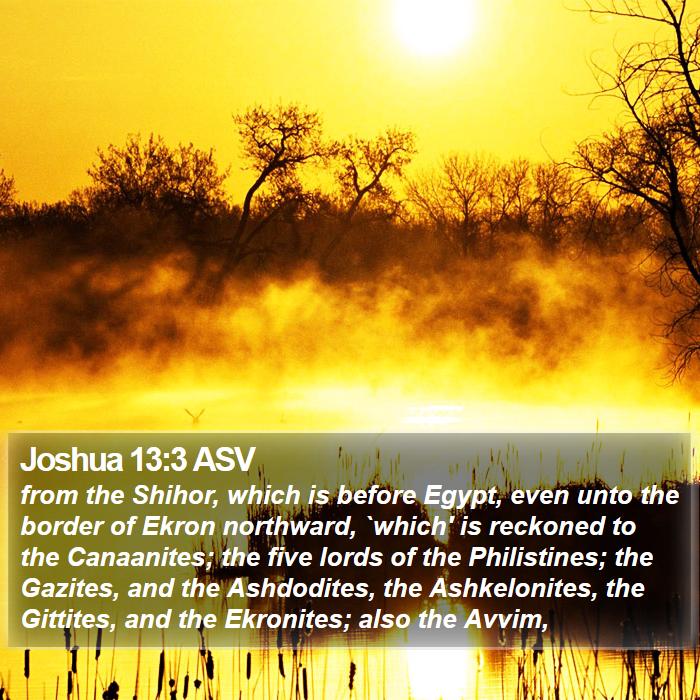 Joshua 13:3 ASV Bible Study