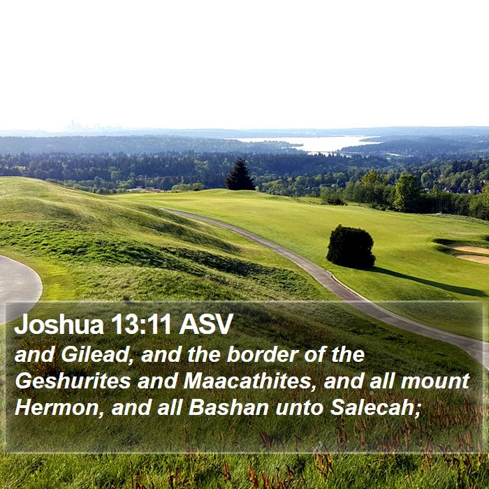 Joshua 13:11 ASV Bible Study