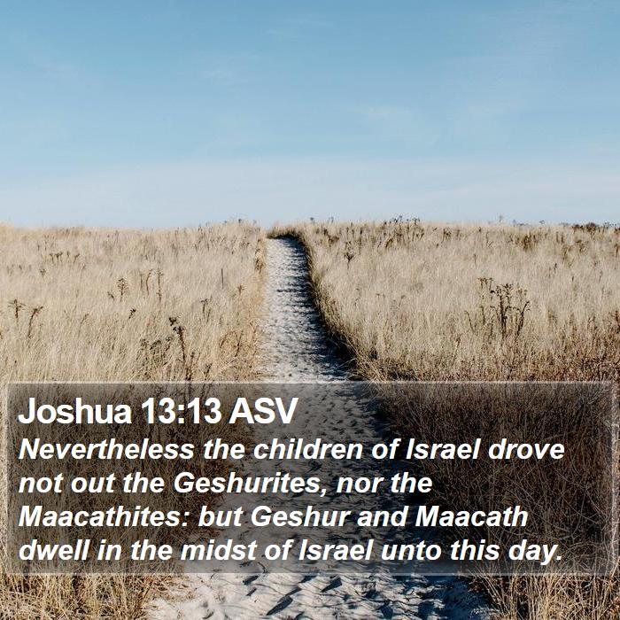 Joshua 13:13 ASV Bible Study