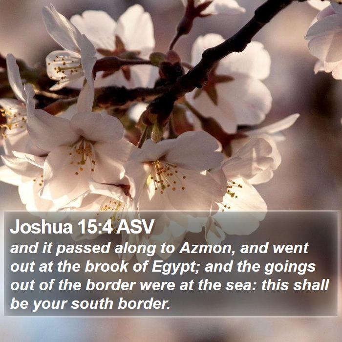 Joshua 15:4 ASV Bible Study