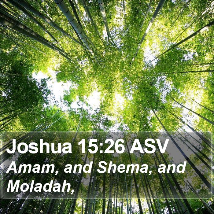 Joshua 15:26 ASV Bible Study