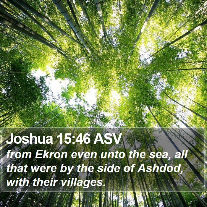 Joshua 15:46 ASV Bible Study