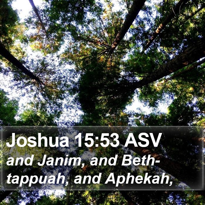 Joshua 15:53 ASV Bible Study