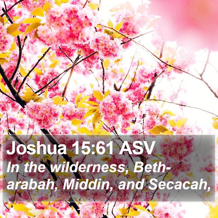 Joshua 15:61 ASV Bible Study