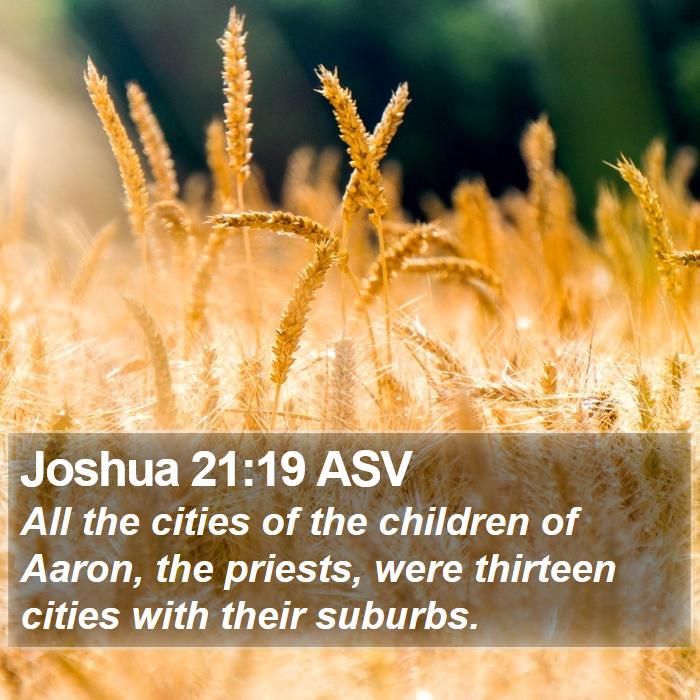 Joshua 21:19 ASV Bible Study