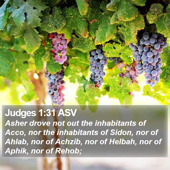 Judges 1:31 ASV Bible Study