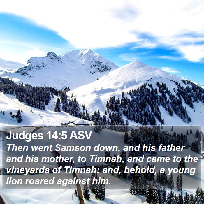 Judges 14:5 ASV Bible Study