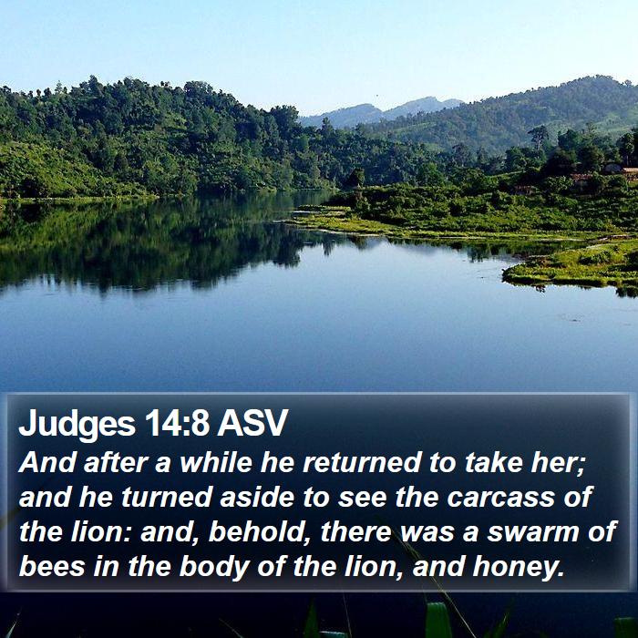 Judges 14:8 ASV Bible Study