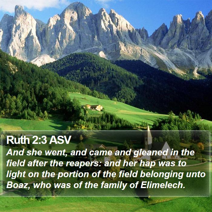 Ruth 2:3 ASV Bible Study