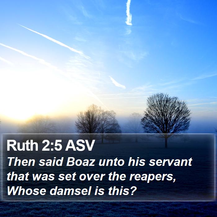 Ruth 2:5 ASV Bible Study