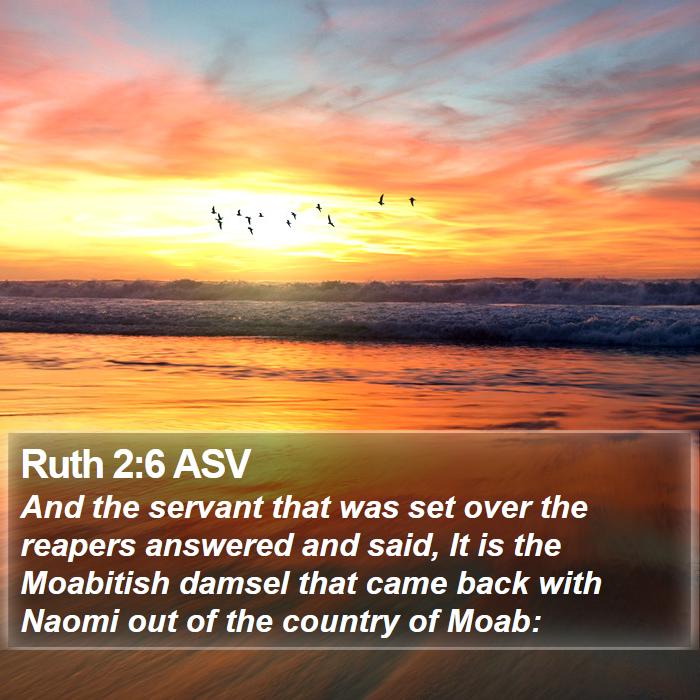 Ruth 2:6 ASV Bible Study