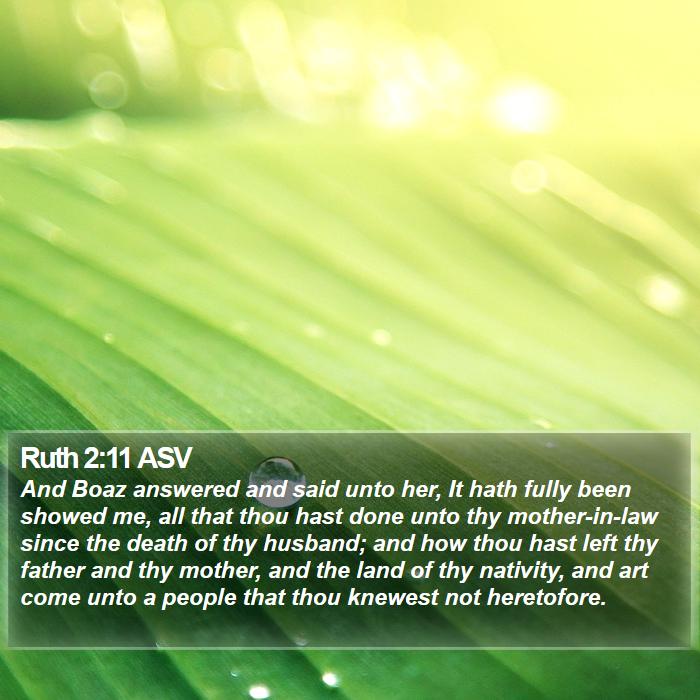 Ruth 2:11 ASV Bible Study