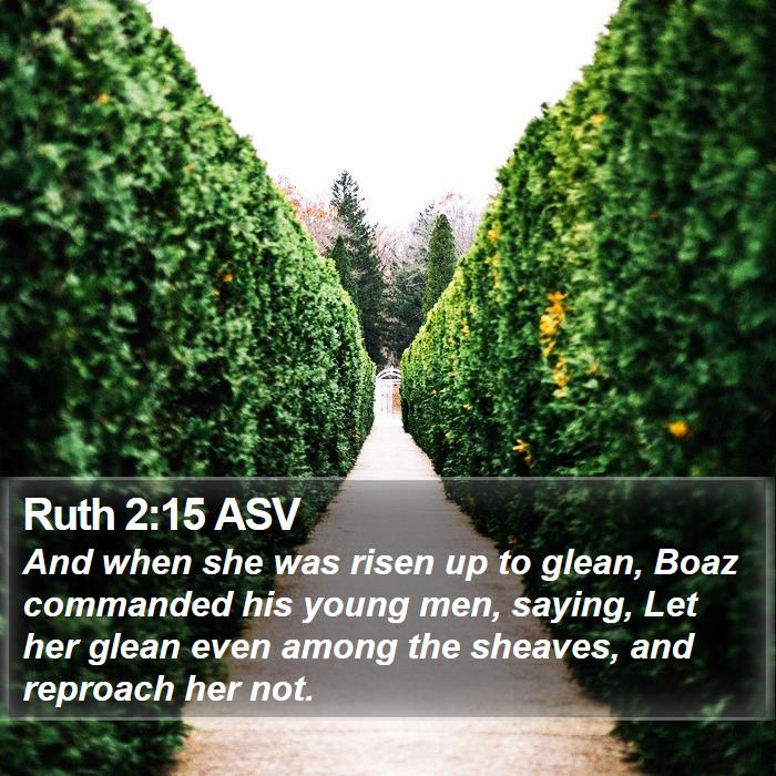 Ruth 2:15 ASV Bible Study