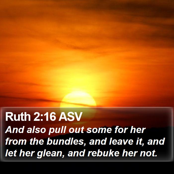 Ruth 2:16 ASV Bible Study