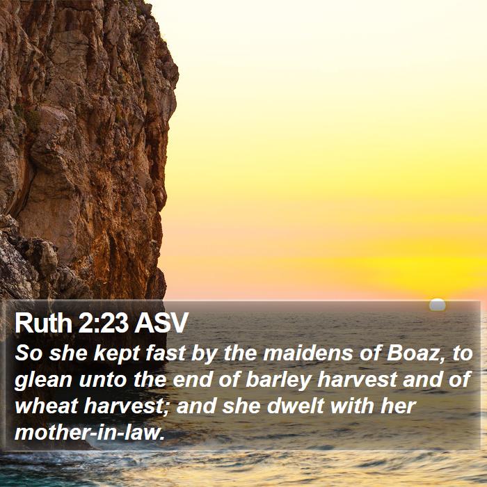 Ruth 2:23 ASV Bible Study