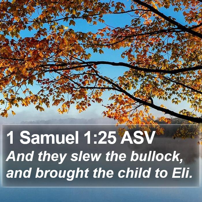 1 Samuel 1:25 ASV Bible Study