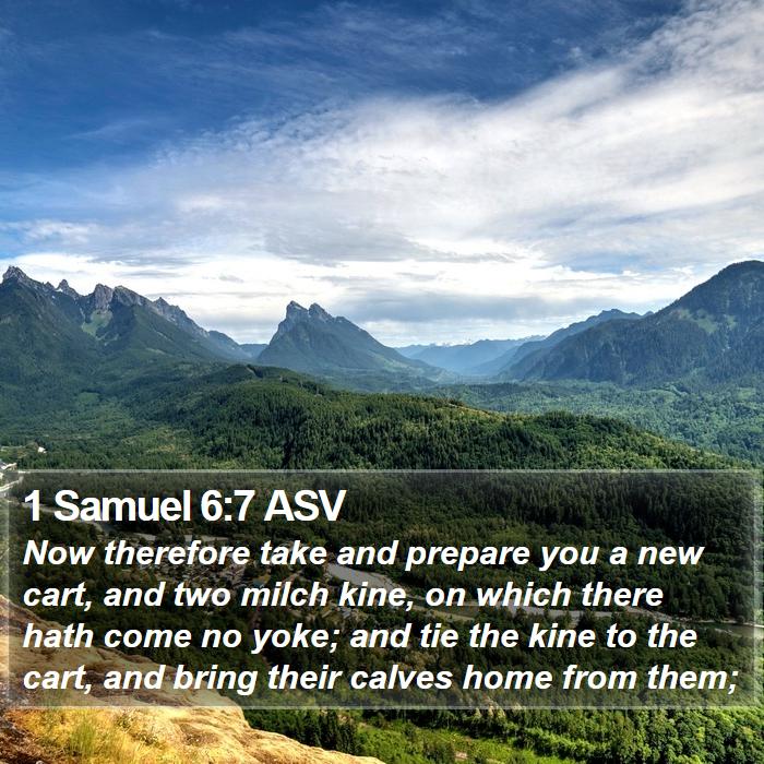 1 Samuel 6:7 ASV Bible Study