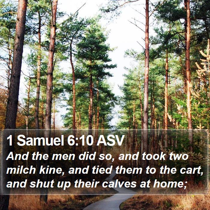 1 Samuel 6:10 ASV Bible Study