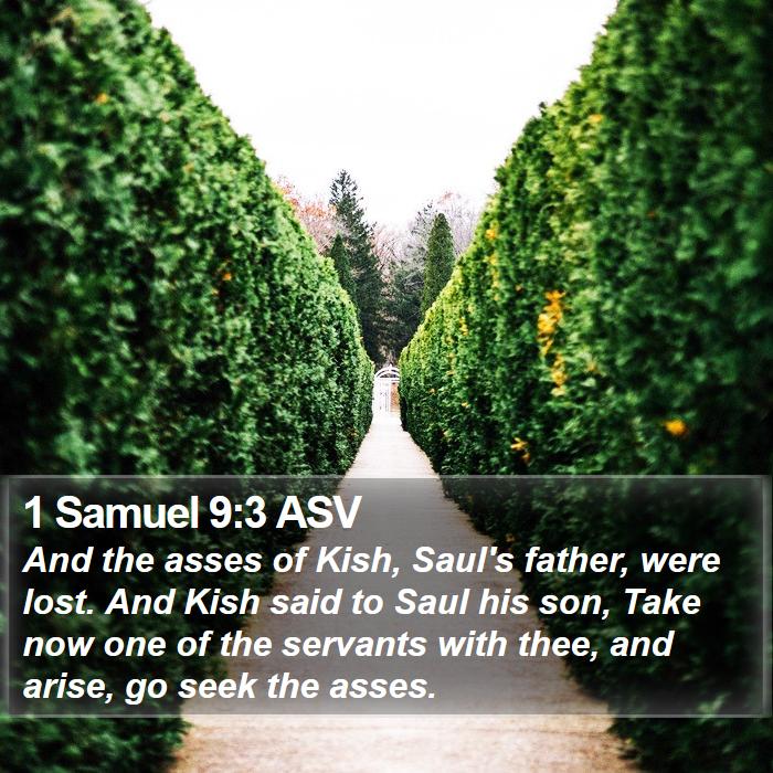 1 Samuel 9:3 ASV Bible Study