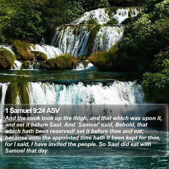 1 Samuel 9:24 ASV Bible Study