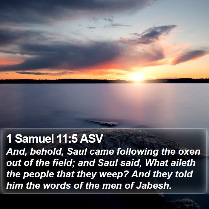 1 Samuel 11:5 ASV Bible Study