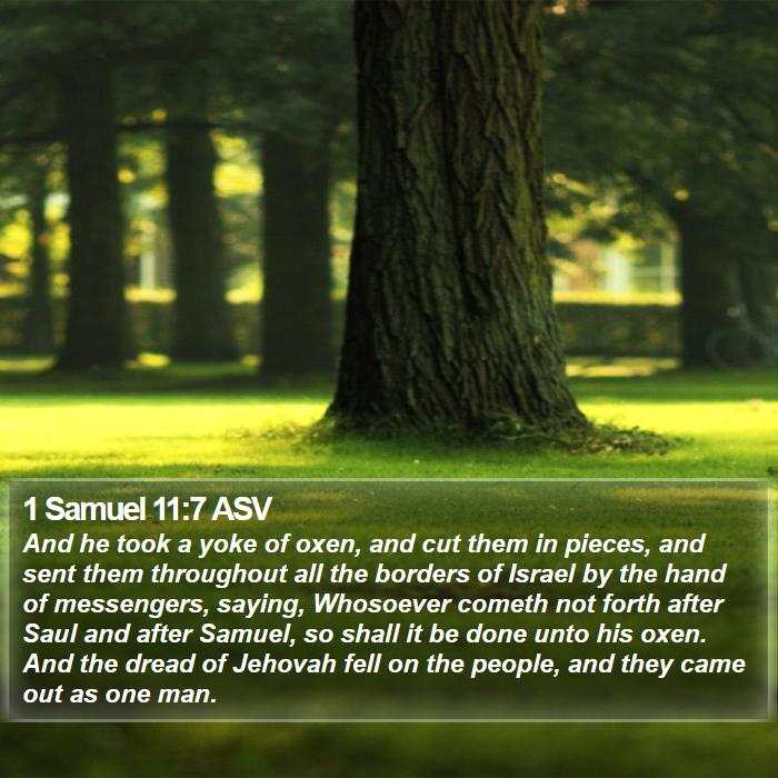 1 Samuel 11:7 ASV Bible Study