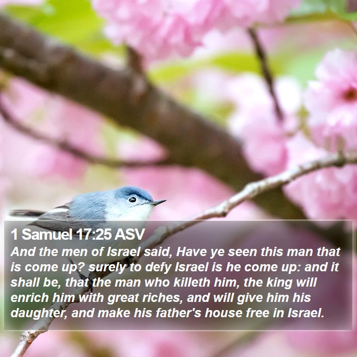 1 Samuel 17:25 ASV Bible Study