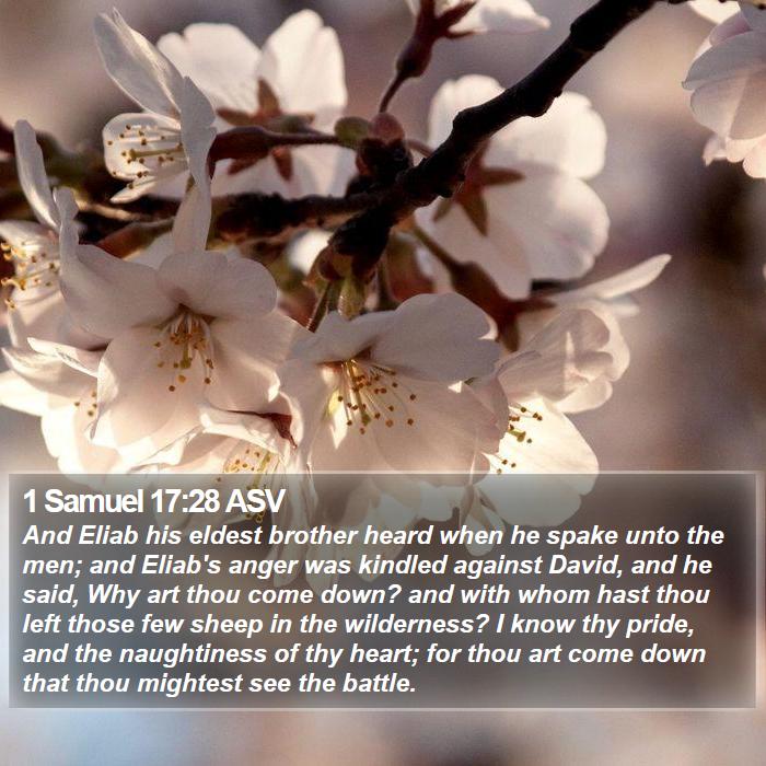 1 Samuel 17:28 ASV Bible Study