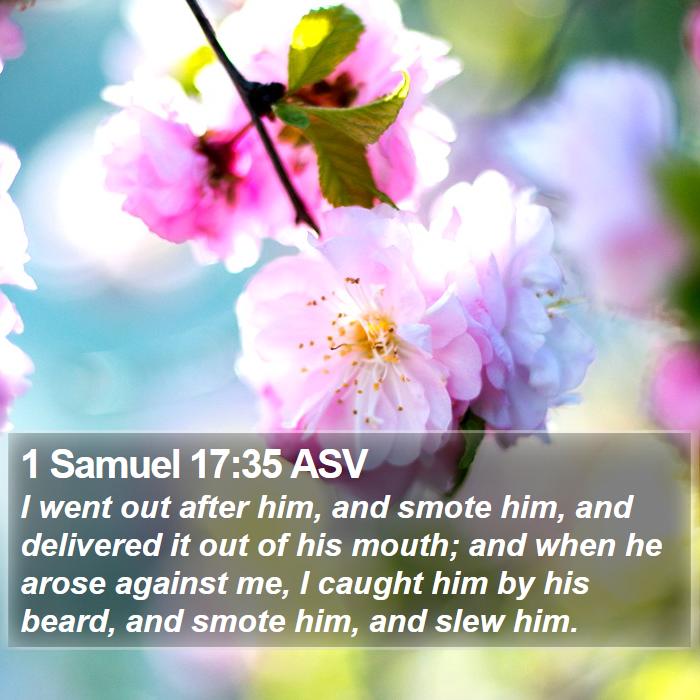 1 Samuel 17:35 ASV Bible Study