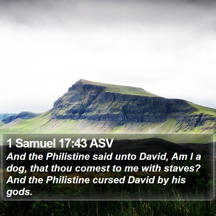 1 Samuel 17:43 ASV Bible Study