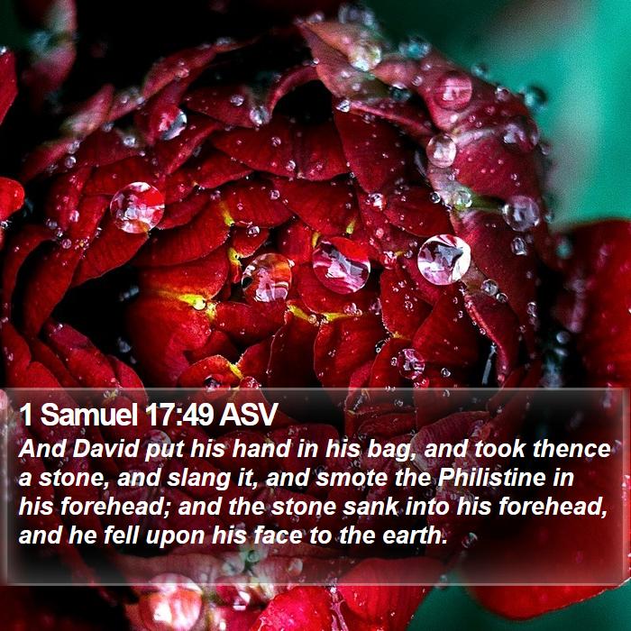 1 Samuel 17:49 ASV Bible Study